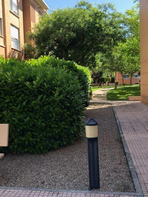 Vut El Parque -Con Piscina En Verano - Aparcamiento En Calle Y Parking Gratis En El Centro Сьюдад-Реаль Екстер'єр фото